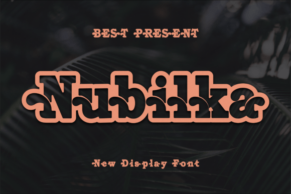 Nubilka: A Modern Display Font That Elevates Your Business Branding
